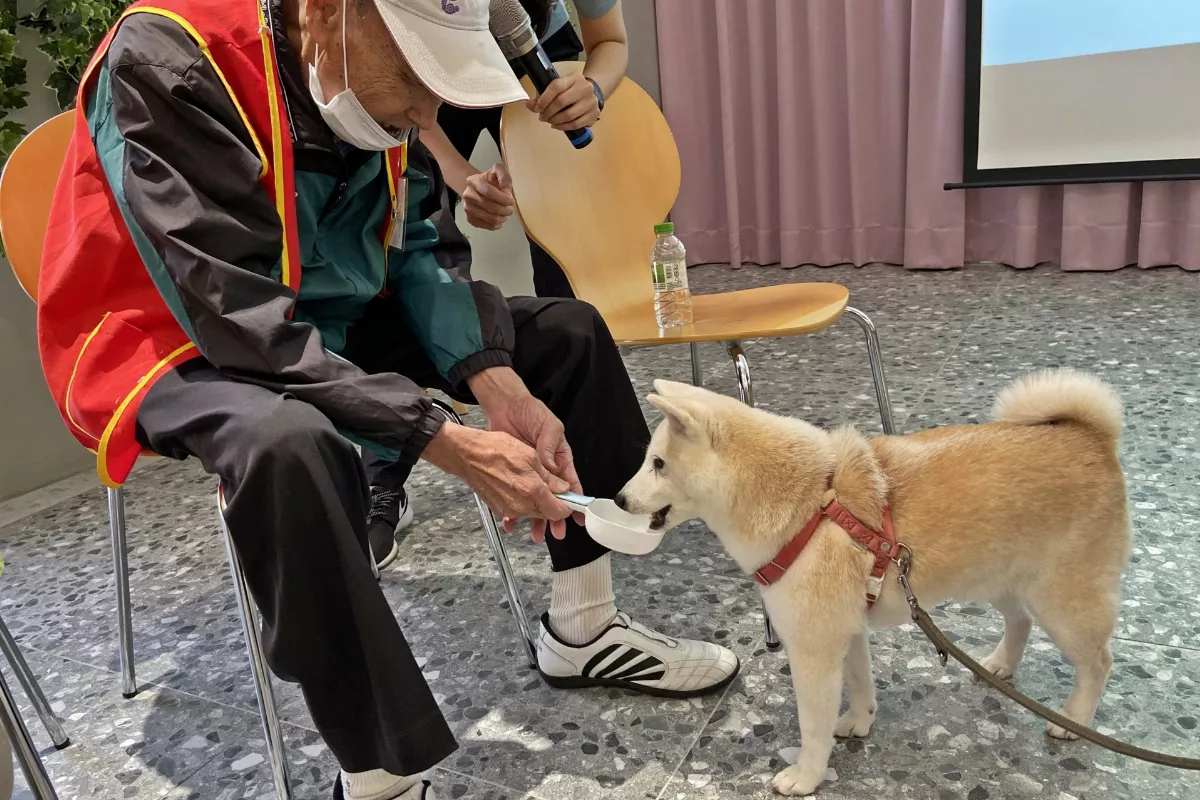 汪星人化身療癒犬   阿公阿嬤笑開懷
